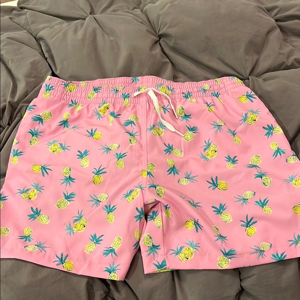 NWOT: Chubbies The Quick Dips Shortie 5.5" Swim Trunks w Liner